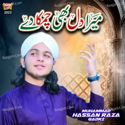 Muhammad Hassan Raza Qadri Image