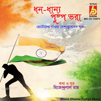 Dhono Dhanno Pushpe Bhora Cover