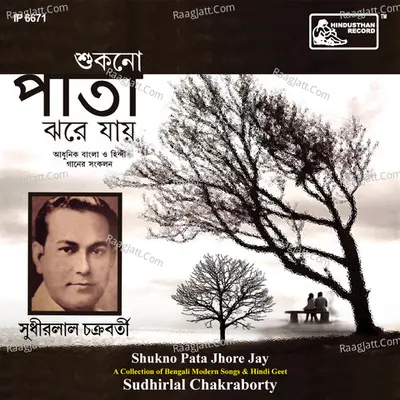 Shukno Pata Jhore Jay Poster