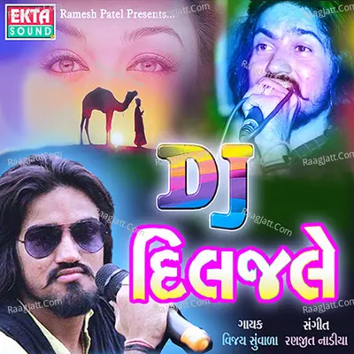 DJ Diljale Poster