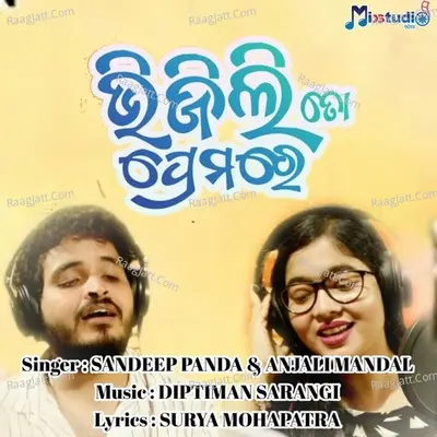 Bhijili To Premare Cover
