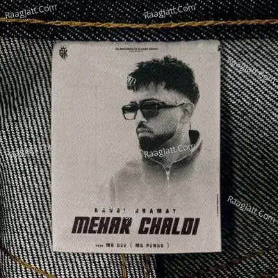 Mehar Chaldi Cover
