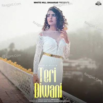 Teri Diwani