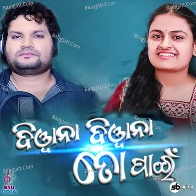 Diwana Diwana To Pain Cover