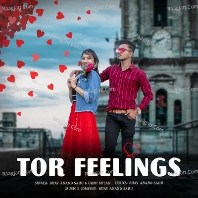 Tor Feelings Cover