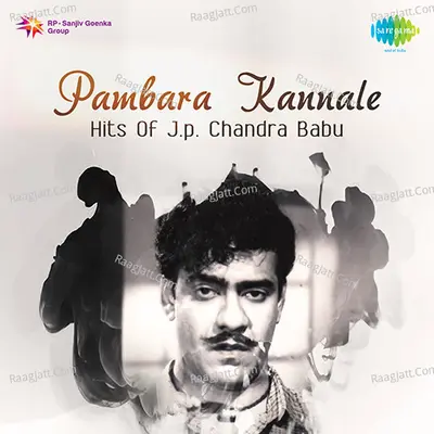 Pambara Kannale Hits Of J. P. Chandra Babu - Viswanathan