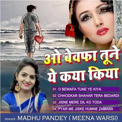 O Bewafa Tune Ye Kya - Madhu Pandey (Meena Warsi)