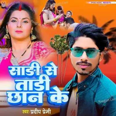 Sadi Se Tadi Chhan Ke Cover