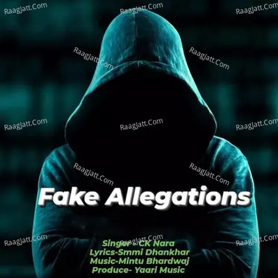 Fake Allegations Cover