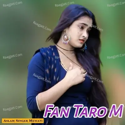 Fan Taro M Cover