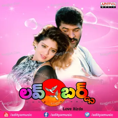 Love Birds Poster