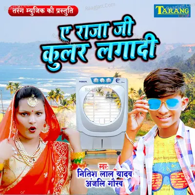 A Rajaji Cooler Lagadi Cover