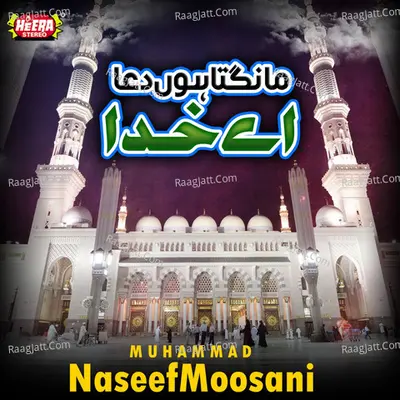 Muhammad Naseef Moosani Poster