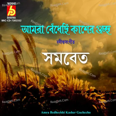 Rimpa Image