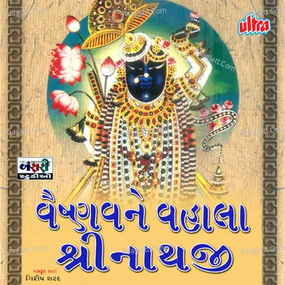 Vaishnavane Vahala Sri Nathaji Poster