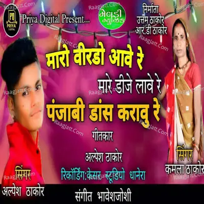 Maro Virdo Aave Re Mare Dj Lave Re Panjabi Dance Kravu Re