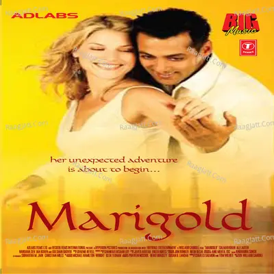 Marigold Poster