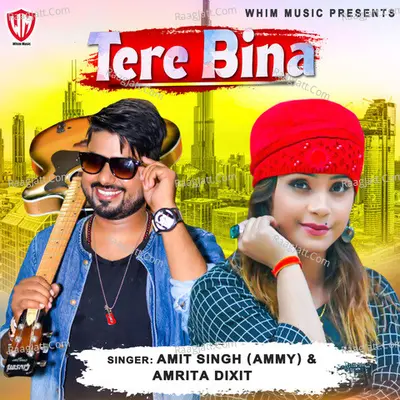 Tere Bina Cover