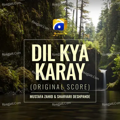 Dil Kya Karay (Original Score) Cover