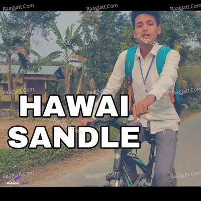 Hawai Sandle
