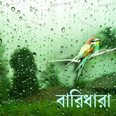 Baridhara Poster