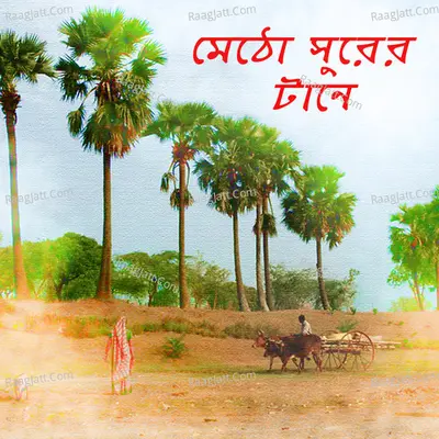 Metho Shurer Taane Poster