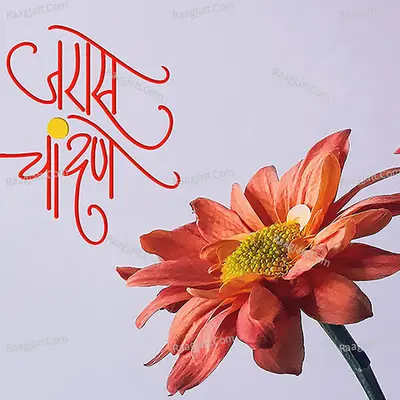 Vinay Rajwade Image