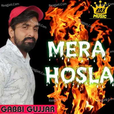 Mera Hosla