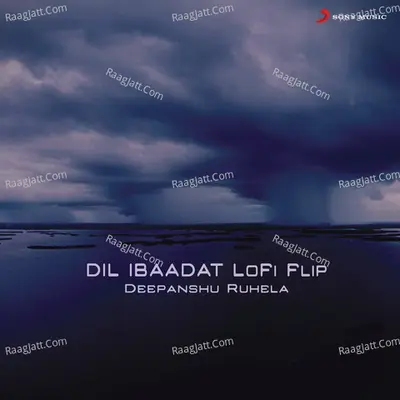 Dil Ibaadat (Lofi Flip) Cover