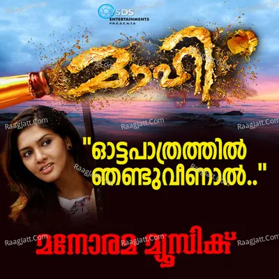 M G Sreekumar Image