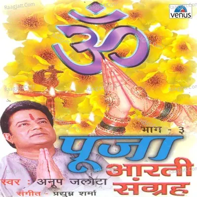 Pooja Aarti Sangrah- Part- 3 - Anup Jalota