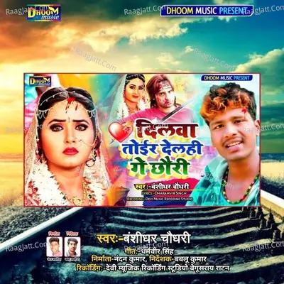 Dilwa Toir Delahi Ge Chhauri Poster