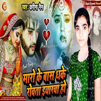 Maro Ke Bas Dhake Roata Iyrwa Ho Cover