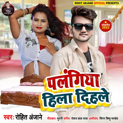 Rohit Anjane Image