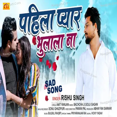 Pahila Pyar Bhulala Na Cover