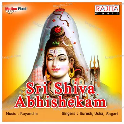 Sri Shiva Abhishekam Poster