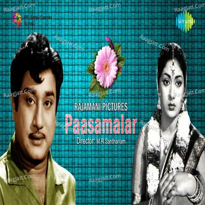 Pasamalar
