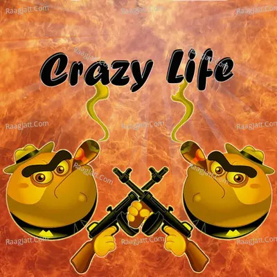 Crazy Life Cover