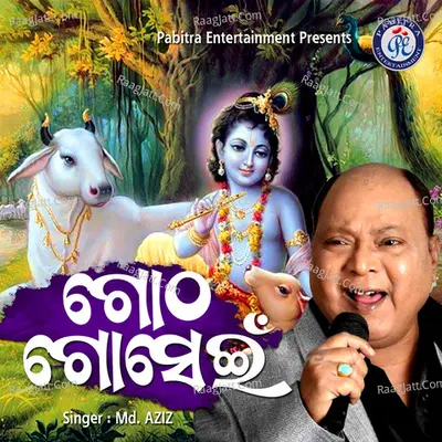 Gotha Gosain Cover