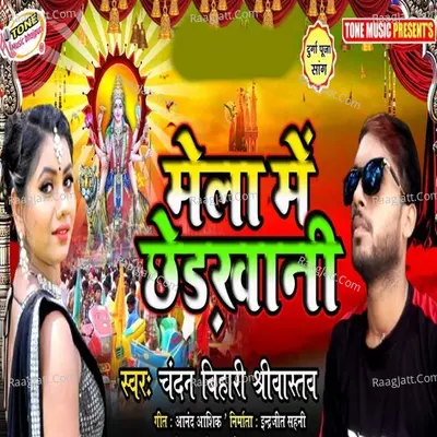 Chandan Bihari Shrivastava