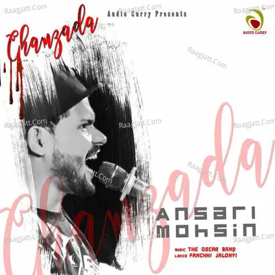 Ansari Mohsin