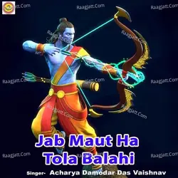 Acharya Damodar Das Vaishnav