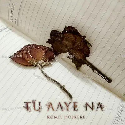 Tu Aaye Na Cover