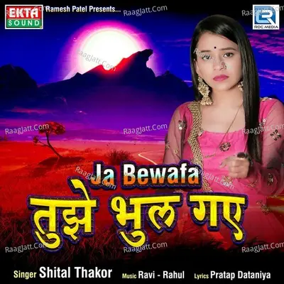 Ja Bewafa Tujhe Bhul Gaye Cover