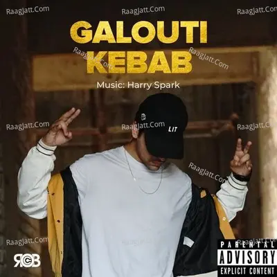 Galouti Kebab Cover