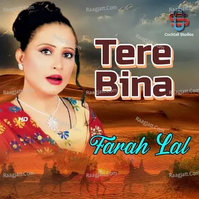 Tere Bina Cover