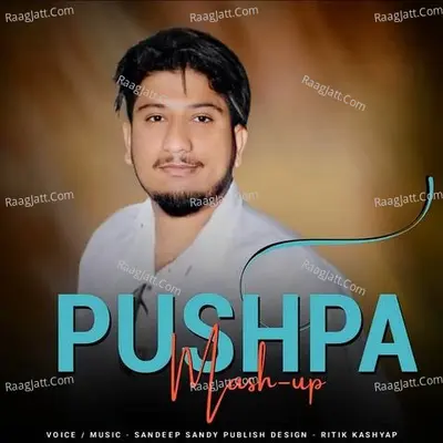 Pushpa Mashup Cover
