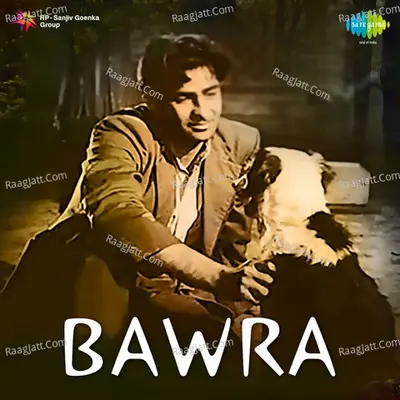 Bawra Poster