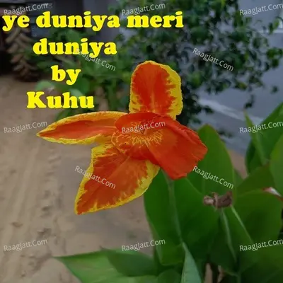 Kuhu Image