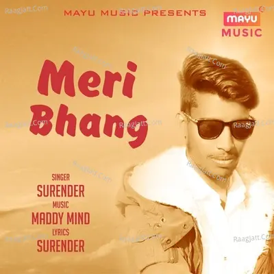 Meri Bhang Cover